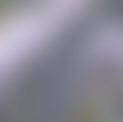 Cockatoos’ Clever Behavior 