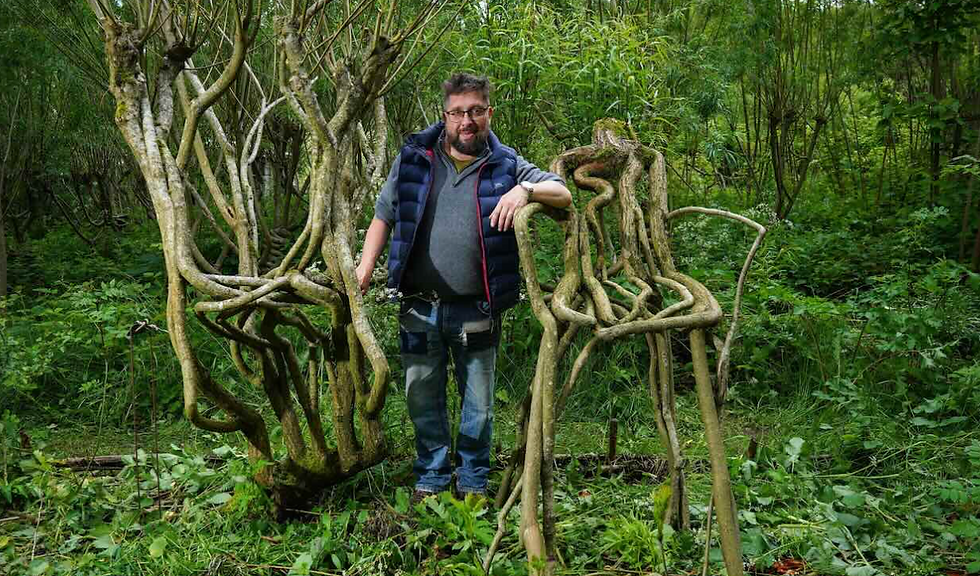 Growing Tree Chairs