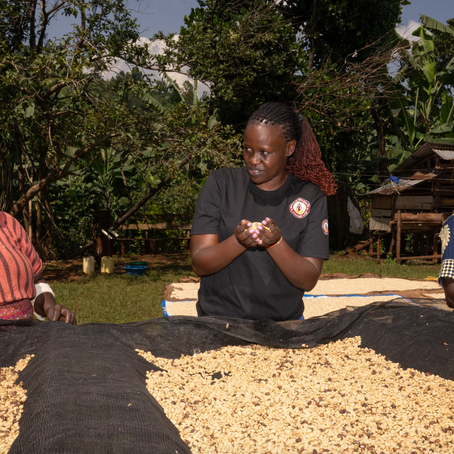 Changing The Coffee Industry