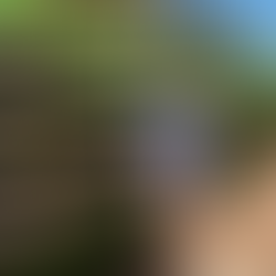 Young Filmmaker’s Peace Journey