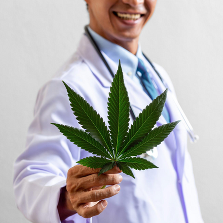 Cannabis and Weight Loss Study 