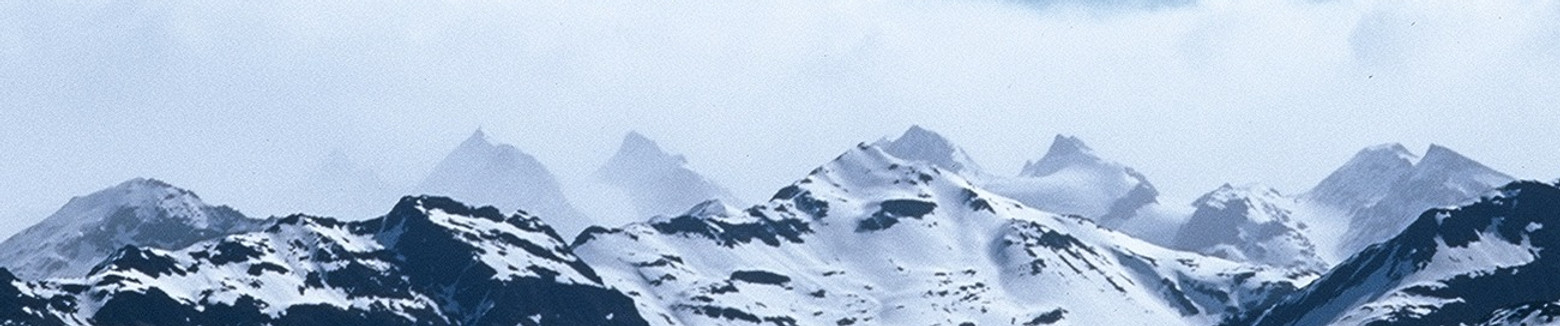 The mountains of South Georgia.jpg