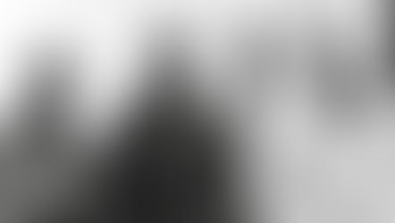 "Strained every muscle and nerve to the limit..."