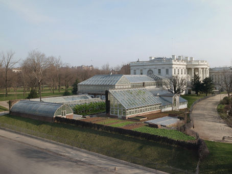 The ever-evolving Rose Garden