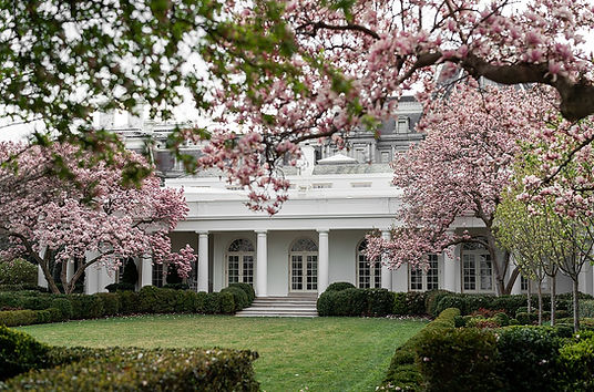 Rose_Garden_of_the_White_House_(49675709373).jpeg
