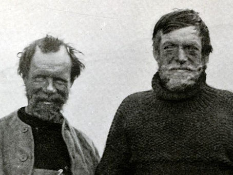 Wild on Shackleton