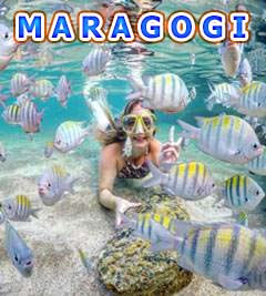 Passeios Maragogi