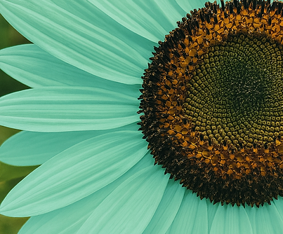 ChatGPT Image Aug 23, 2025, 11_37_30 AM.png