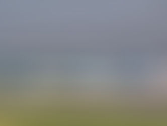 Лазеры, птицы и человеческий фактор – почему летать стало опасней