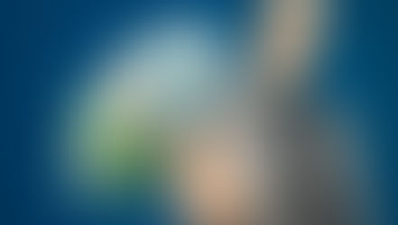 В Актобе организатор бизнес-форумов собрала с доверчивых граждан 40 миллионов тенге