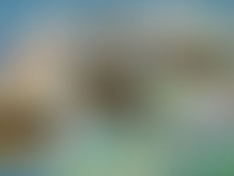 Ограничение для обменников: к чему нас готовит Нацбанк?