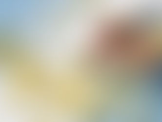 В Алматы для госнужд заберут земельные участки