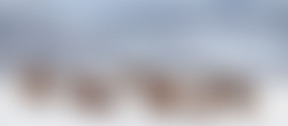 Как накануне Нового года цыганские барымтачи переиграли милиционеров