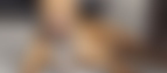 Жителя США приговорили к 475 годам тюрьмы за собачьи бои