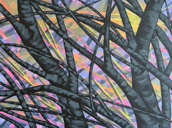 Donna Corvi