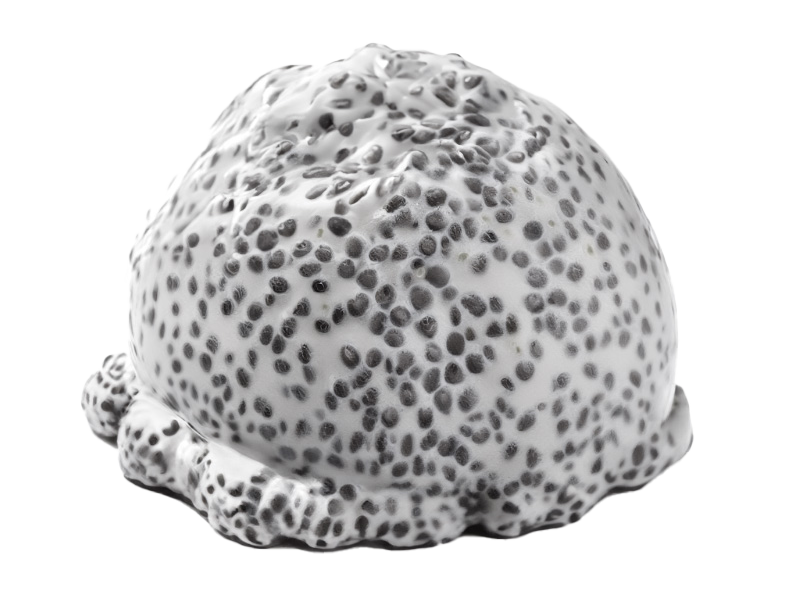 chia pudding