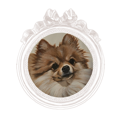 THE (4).png