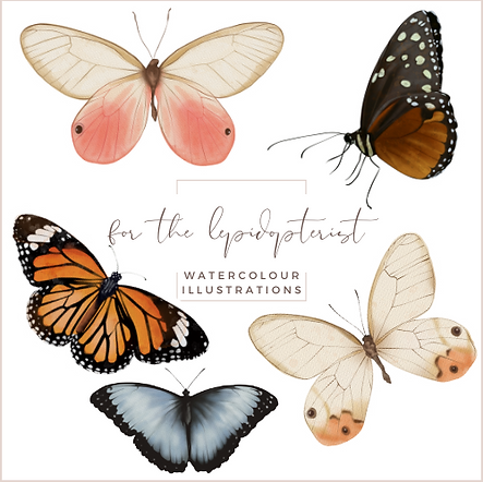 A digital illustration of stickers and butterflies painted as a commission by The Flora Collection, a South African artist.