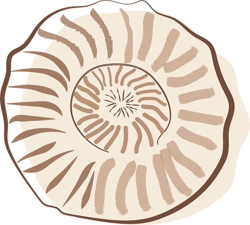 The Coast Pscyhologists Brandmark seashell