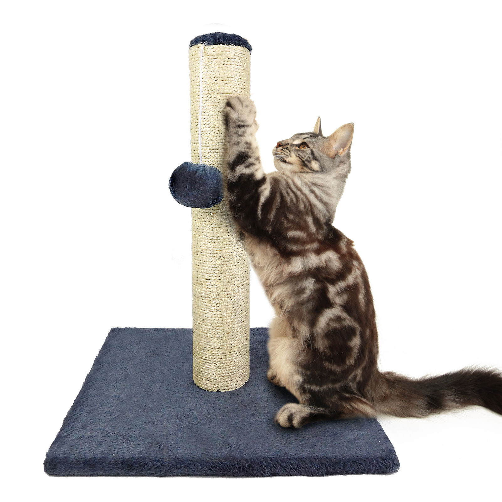 Cat Scratching & Climbing Tower – Indoor Activity Centre