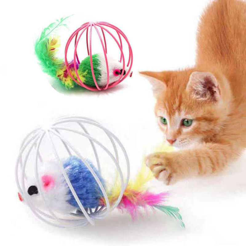 Interactive Mouse Cat Toy with Cage – Chase & Play Toy