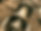 IMG_1752_edited.jpg