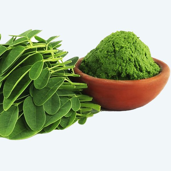 Moringa leaves dried
