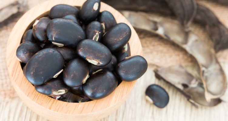Mucuna pruriens seeds