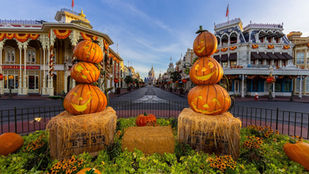 Fall at Walt Disney World: A Magical Time to Visit