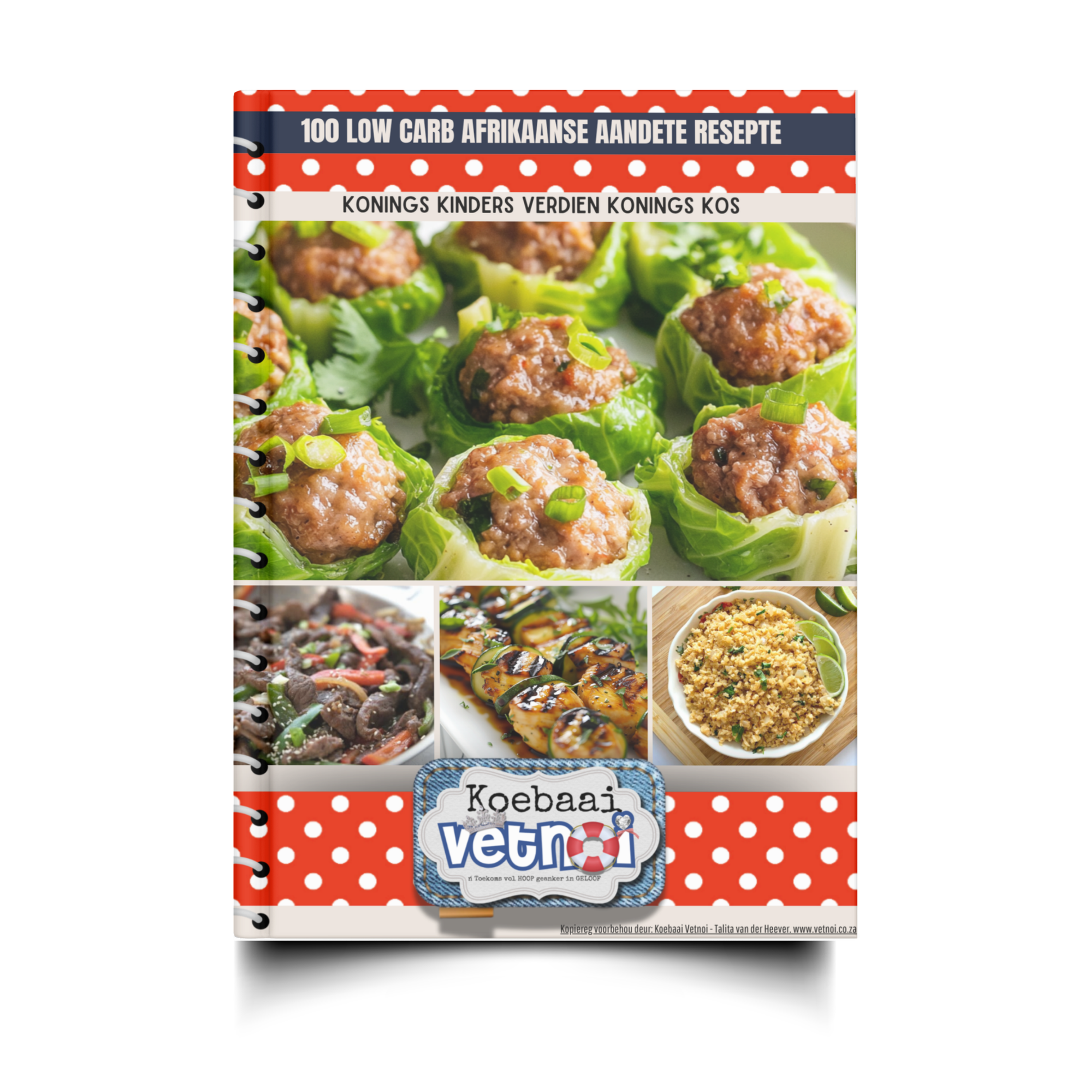100 Low carb Aandete resepte Afrikaans