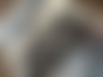 3/31マネージャー