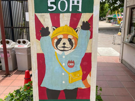 5/22チーフ