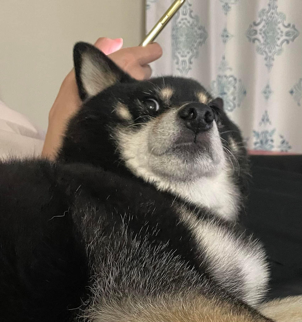 ree