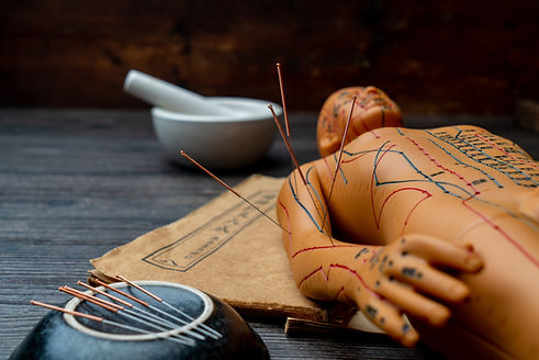 acupuncture-models-medical-books-are-table-acupuncture-is-traditional-chinese-medical-meth