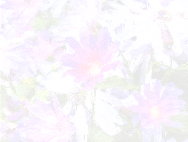 Background landscape.png