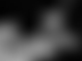 Why Newsletters Are Essential for Effective Marketing in the Fitness Industry