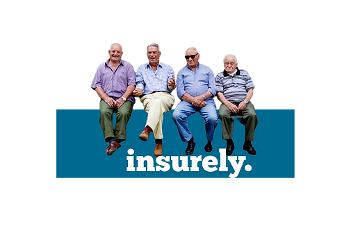 Insurely NZ Professional Insurance Brokers