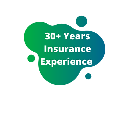 Insurely NZ Exeperienced Insurance Brokers