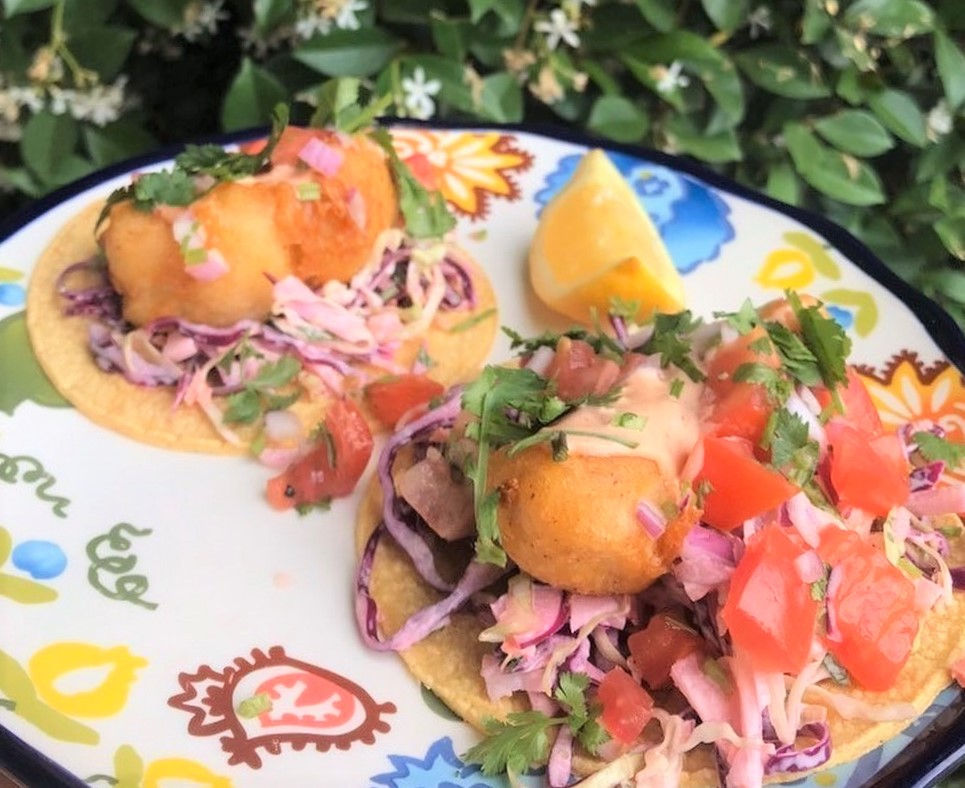 Tauranga & Hamilton Food Trucks| Love Street Food NZ