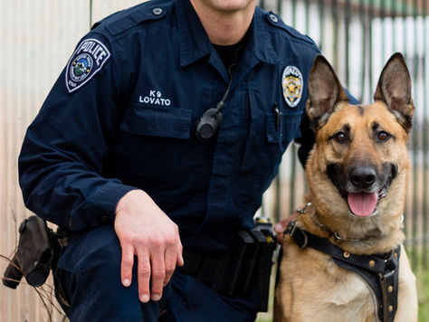 Remembering Aldo & Dingo - S.B. 57