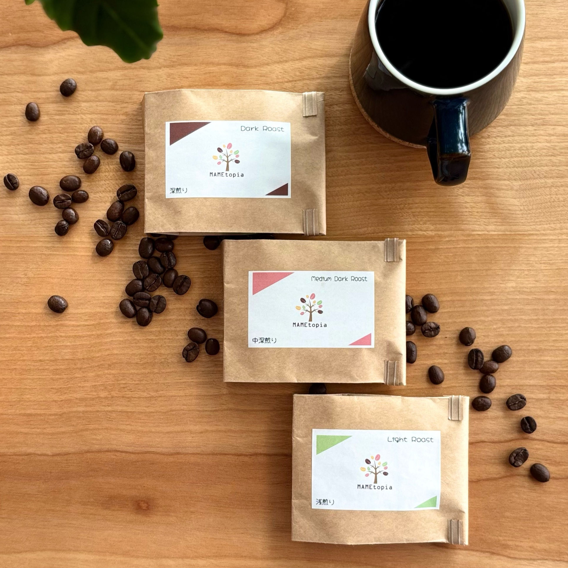 MAMEtopia入門セット 30g × 3種類【豆/粉】