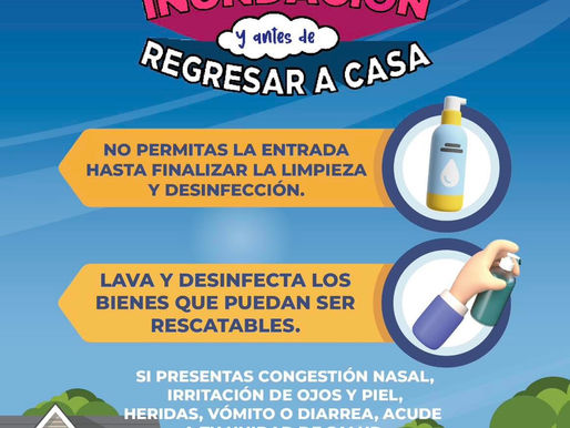 🏠 Después de una inundación, es esencial tomar medidas para garantizar tu seguridad y salud.