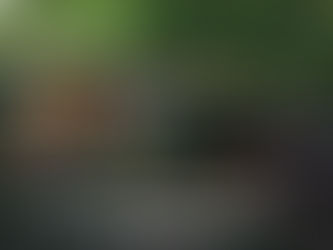 Nuevo Pueblo Mágico:
Metztitlán