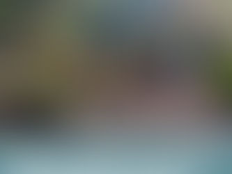 ABREN 231 CAMINOS Y ENTREGAN MÁS DE 100 MIL DESPENSAS EN ZONAS AFECTADAS DE HIDALGO