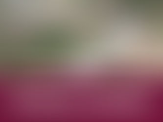 Se han mejorado caminos para conectar a Hidalgo,
acercar servicios, abrir oportunidades y promover
el desarrollo de las familias. 🛣️✅
#PrimeroElPueblo
#ALaMitadDelCamino