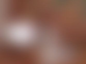 Hidalgo Avanza en dinámica económica! 📈