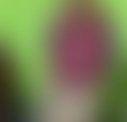 Secretaría de Seguridad Ciudadana Tizayuca
#Informa 🚨