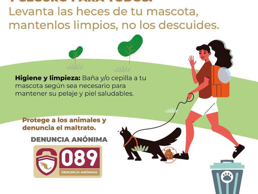 🚮 ¡Haz tu parte por un entorno limpio y seguro! Levanta las heces de tu mascota y mantenla limpia.