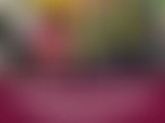 Se ha logrado reducir la deuda pública y se entregan resultados sin adquirir nueva deuda. 📉✅
#PrimeroElPueblo
#ALaMitadDelCamino