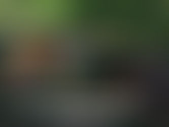 Nuevo Pueblo Mágico:
Metztitlán